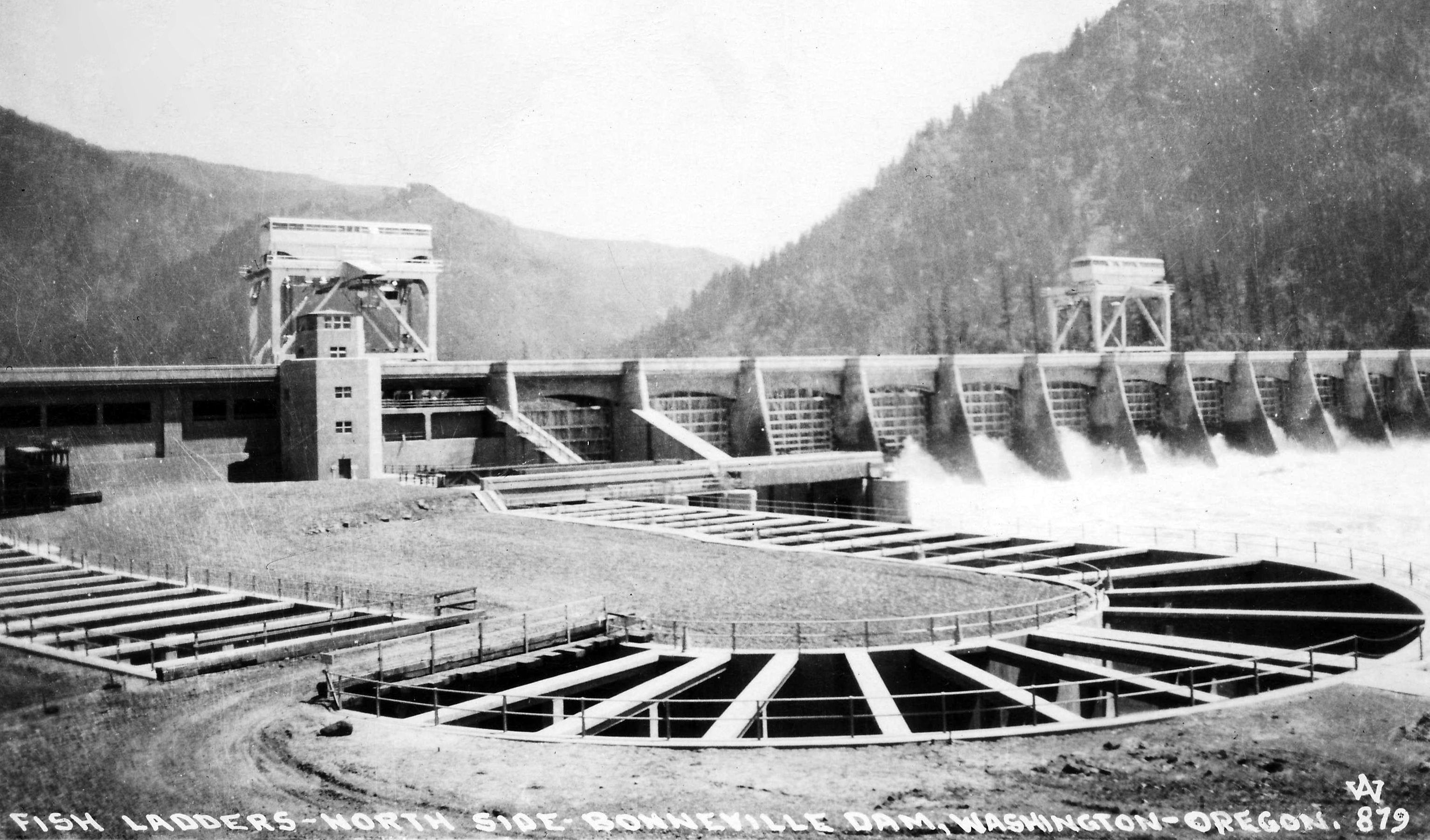 Historic photograph of the switchback fish ladders on the north side of Bonneville Dam, with water spilling over the dam behind them.